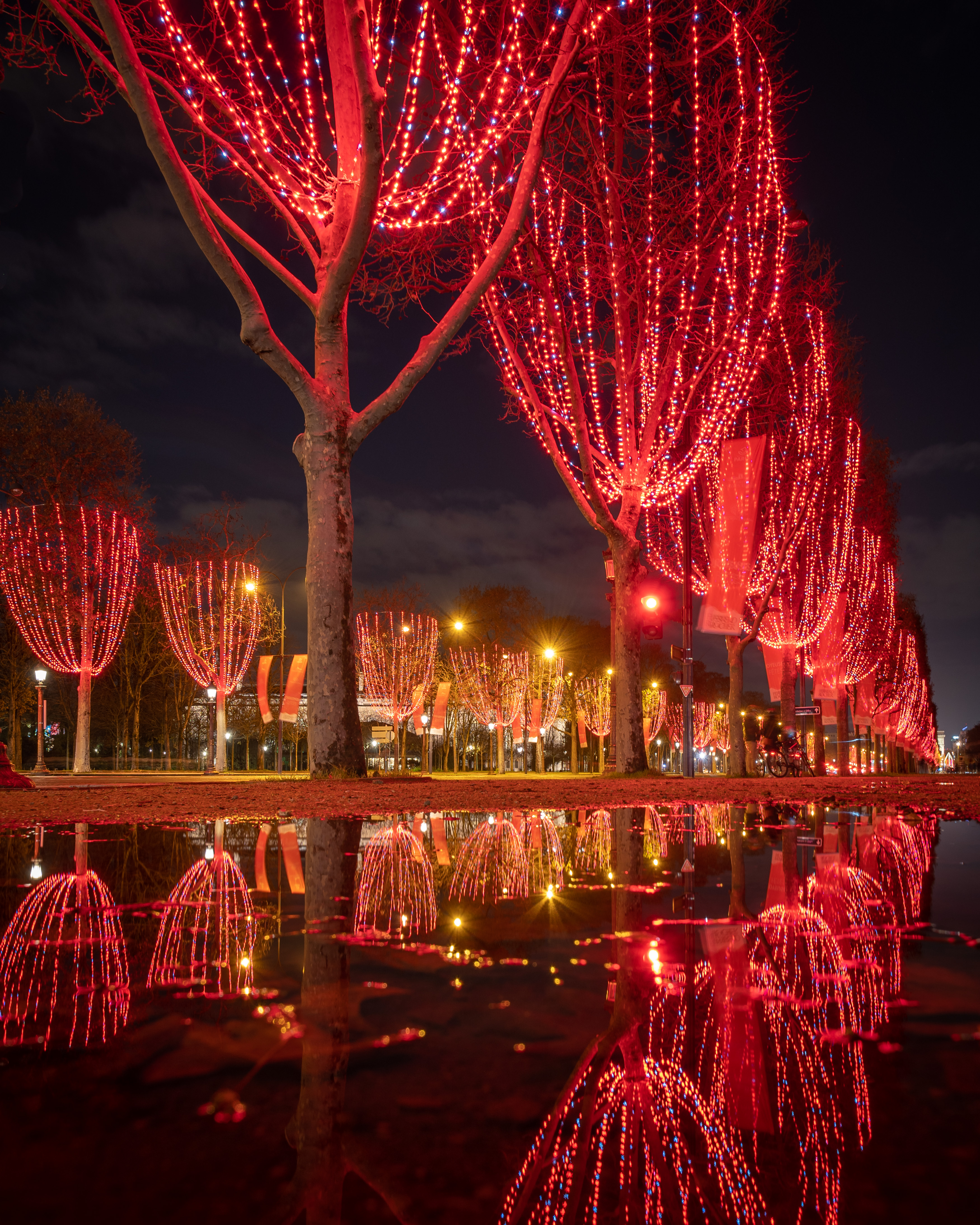 Holiday lights on a city avenue at dusk